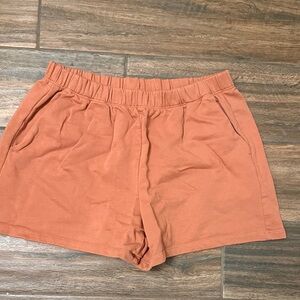 Patagonia High Waist Rust Shorts